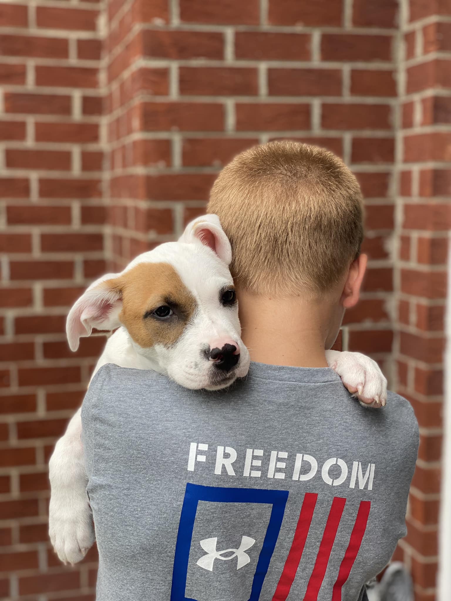 little boy holding a dog named bolt