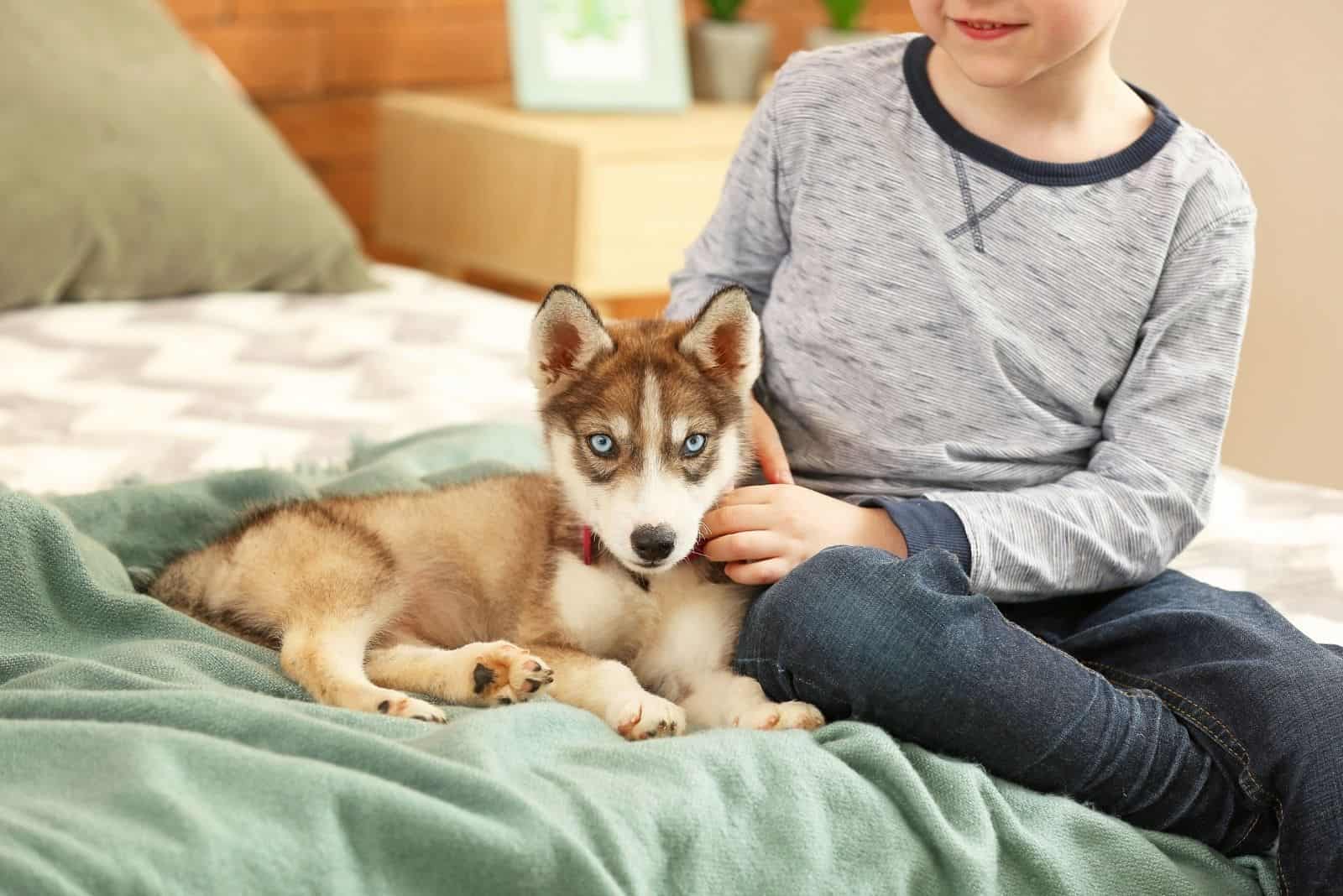 little cute boy with his cute siberian husky puppy