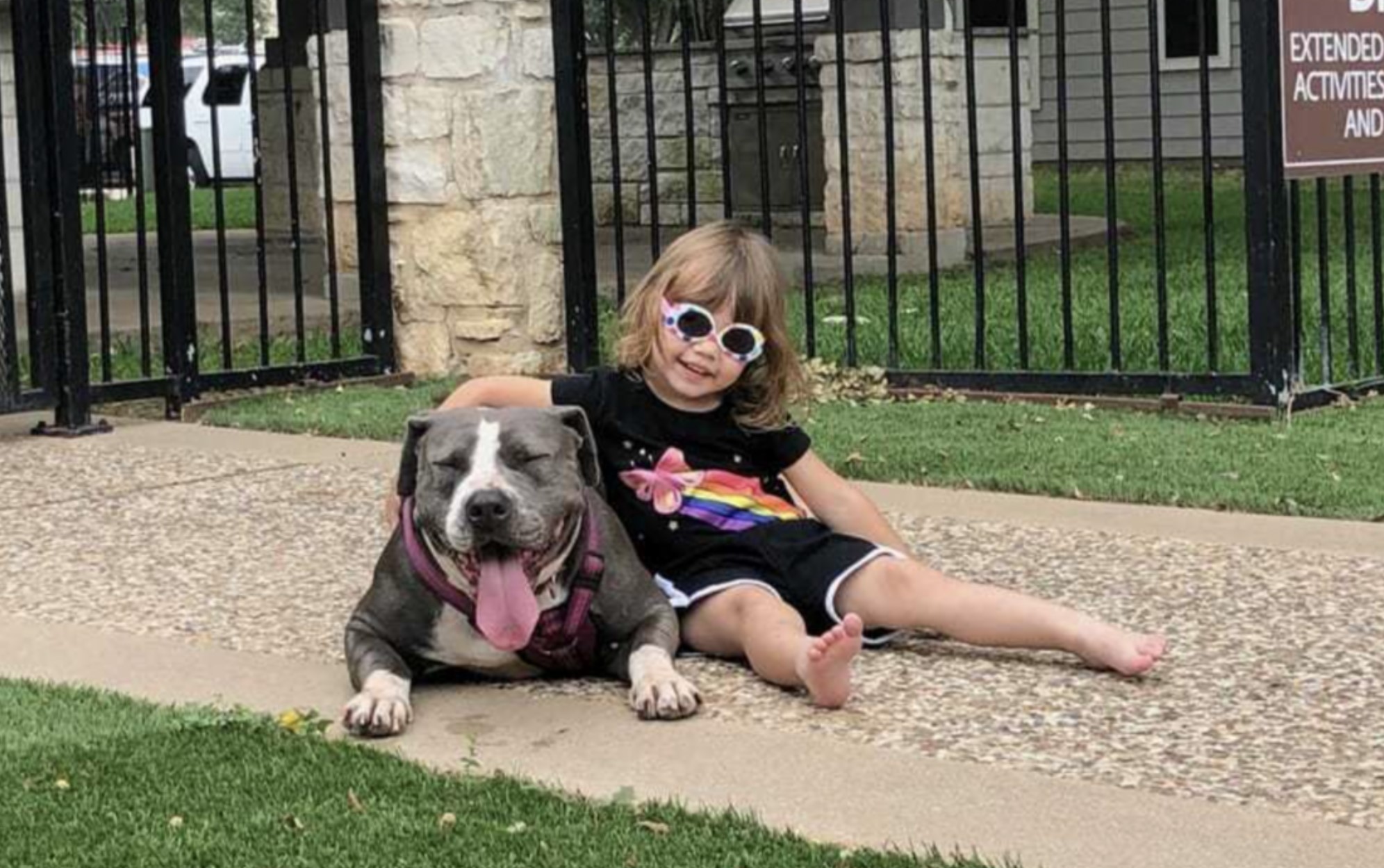 little girl and dog in the yard