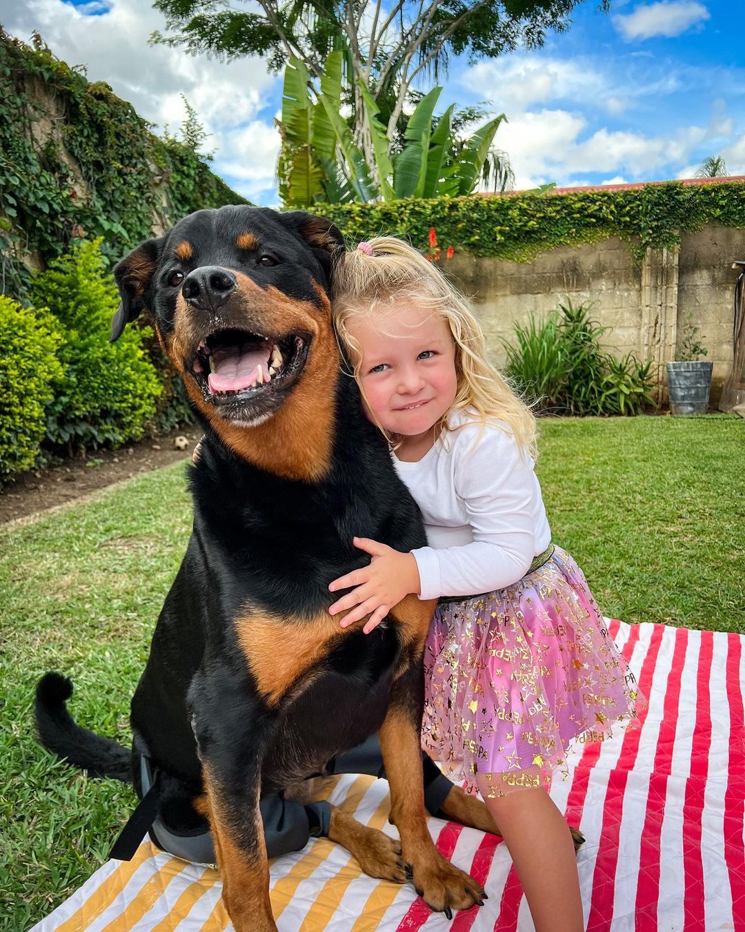 little girl hugging rottweiler