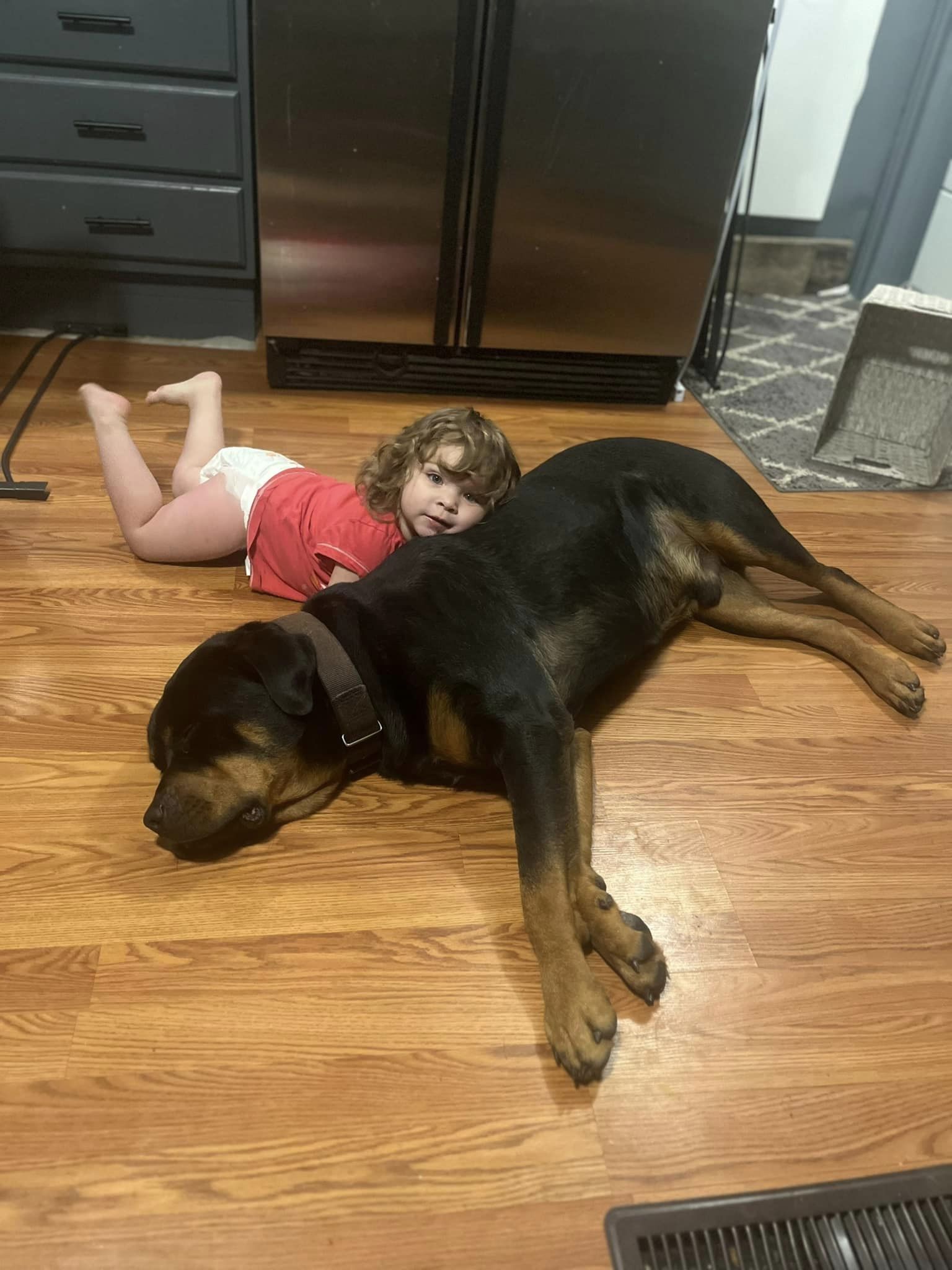 little girl laying with dog on the floor