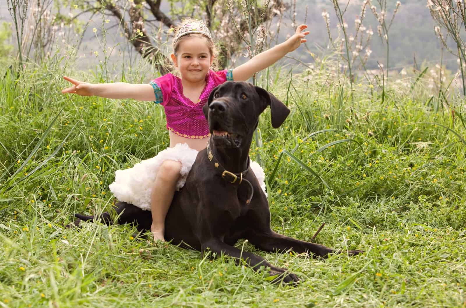 little girl sitting on Great Dane