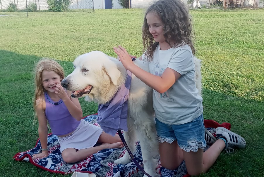 little girls play with a foster dog in the garden