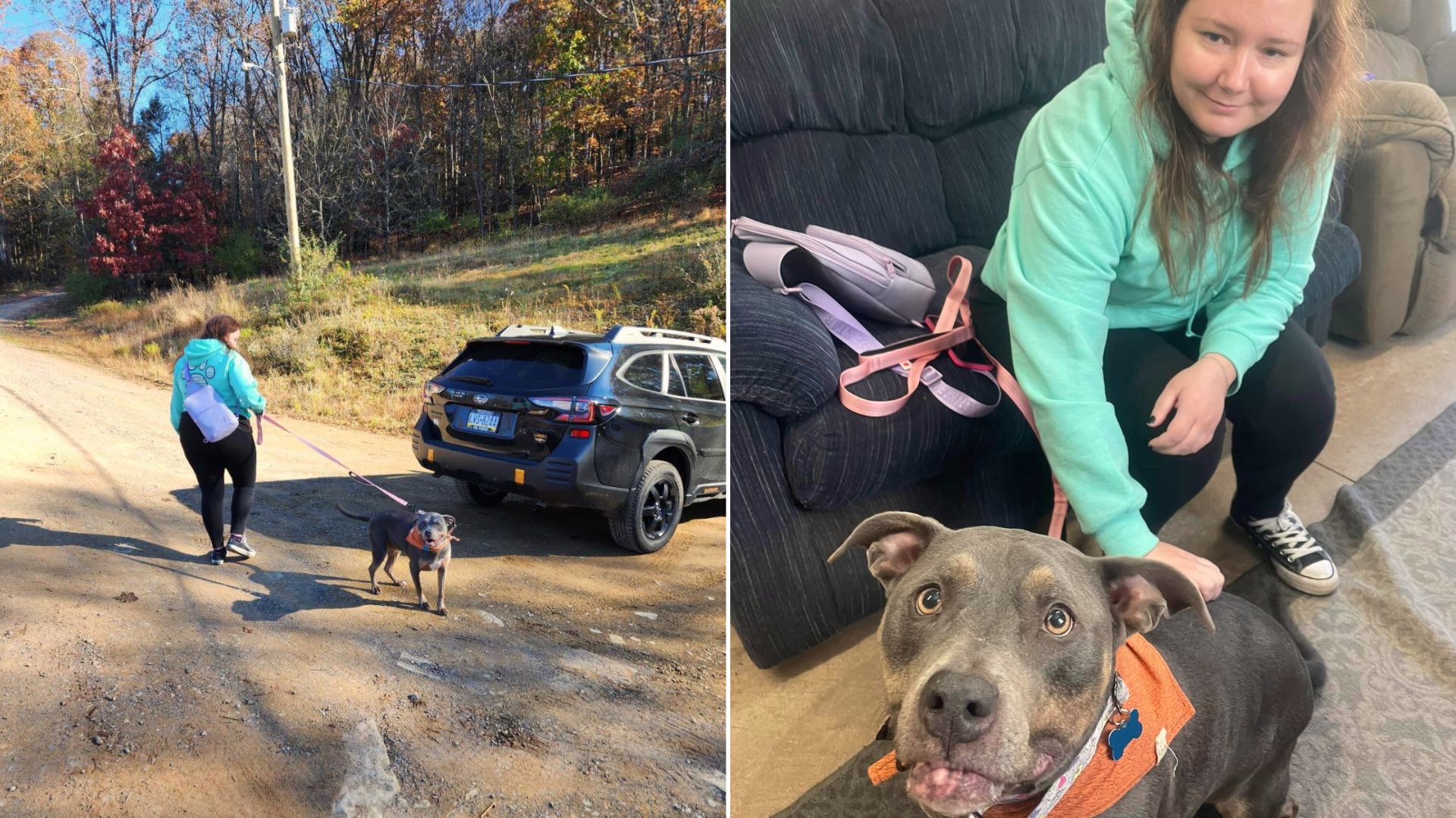 Dog Spends 7 Years At Pennsylvania Shelter Waiting For The Perfect Family