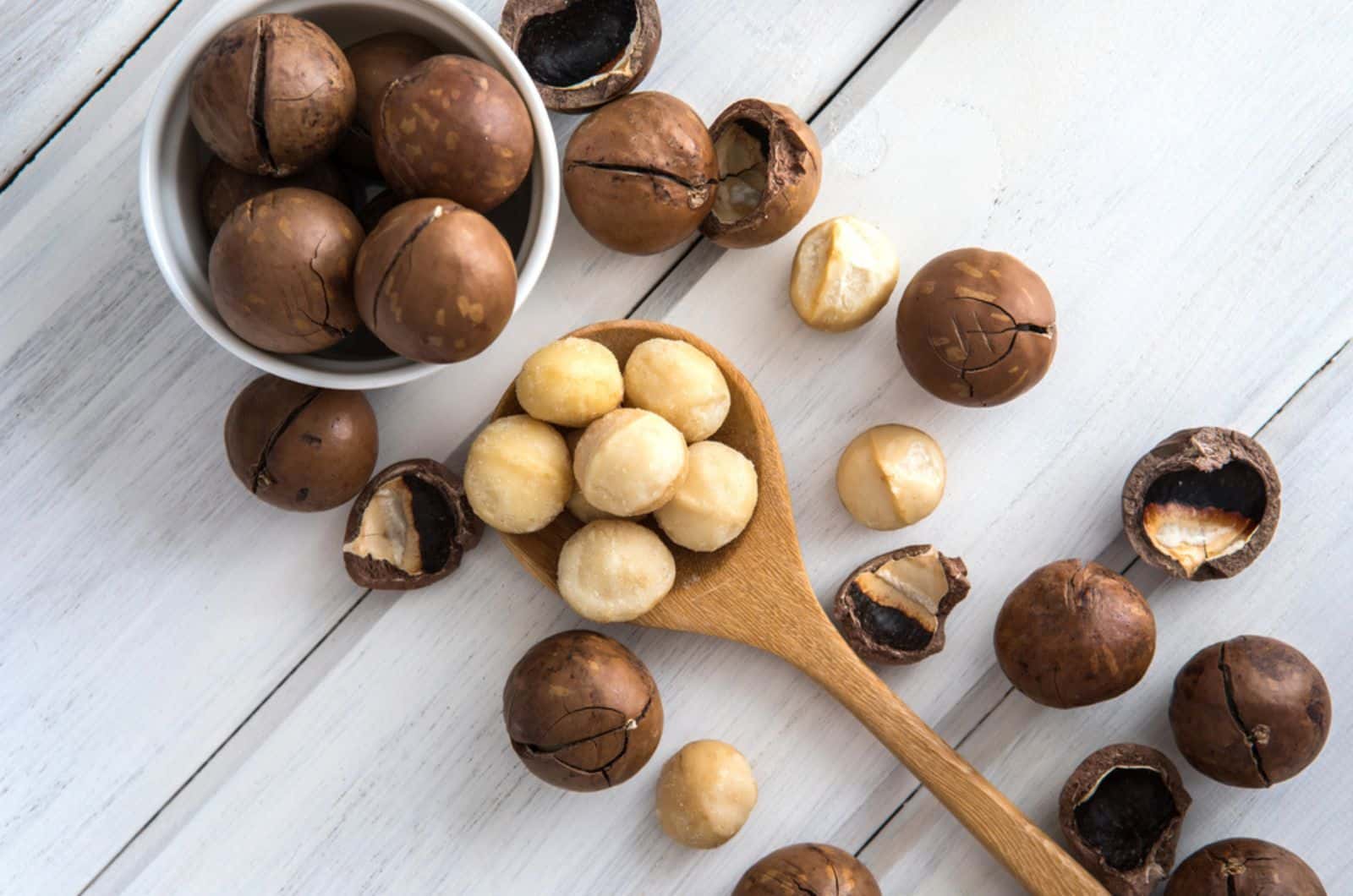 macadamia nuts on the table