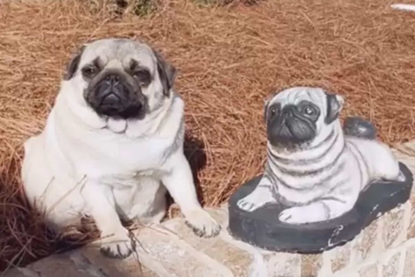 maggie is sitting next to the statue