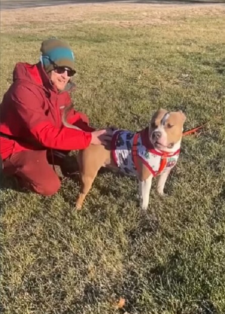 man and dog on a lawn