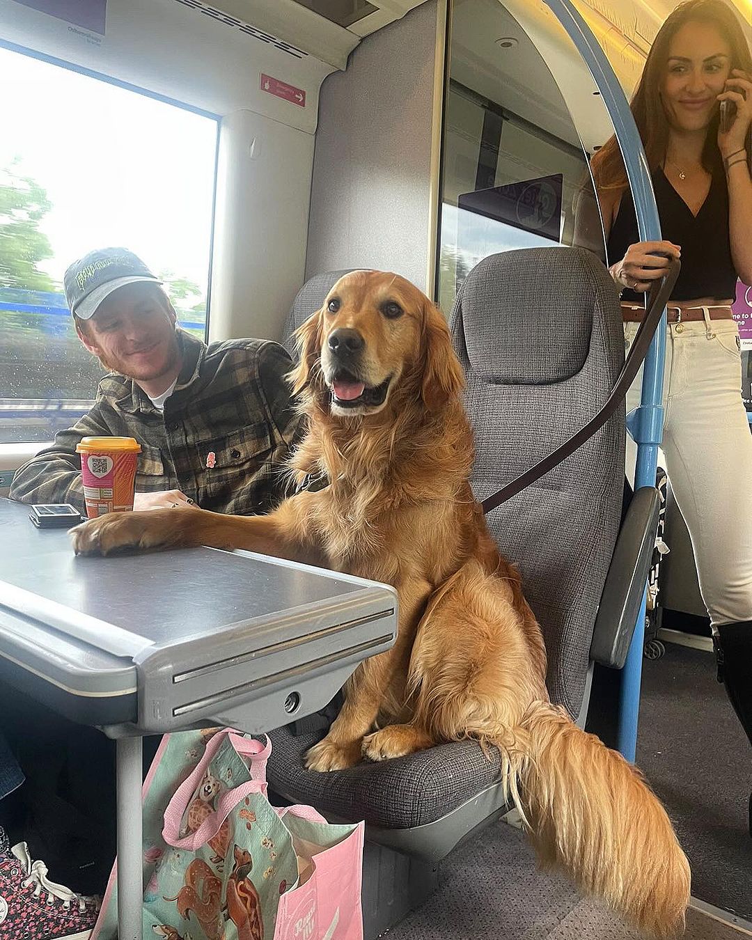 man and dog sitting in a train