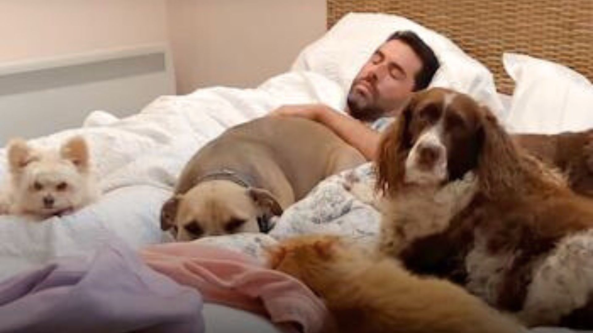 Man And His Giant Pack Of Rescue Animals Enjoy Their Every Minute Together