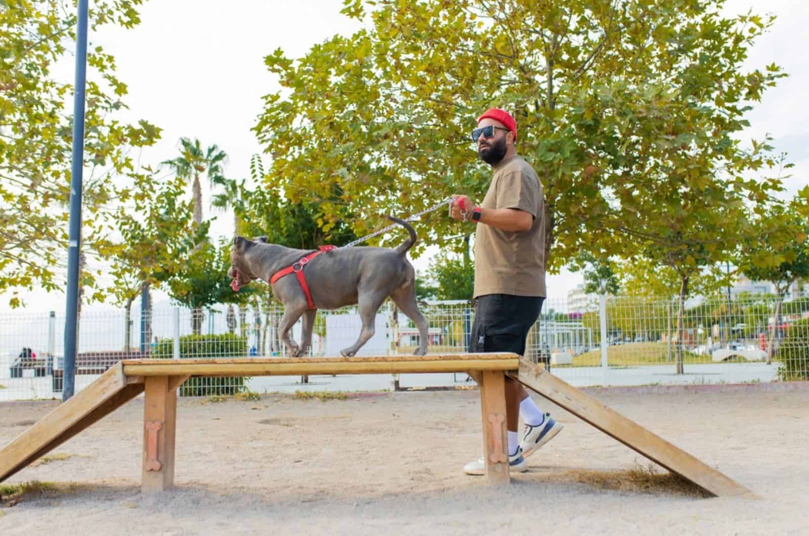 man and his pitbull in dog park