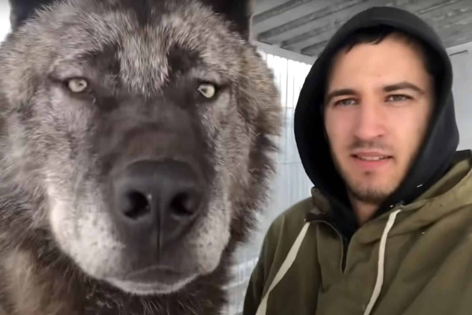 man and his wolf posing while making selfie