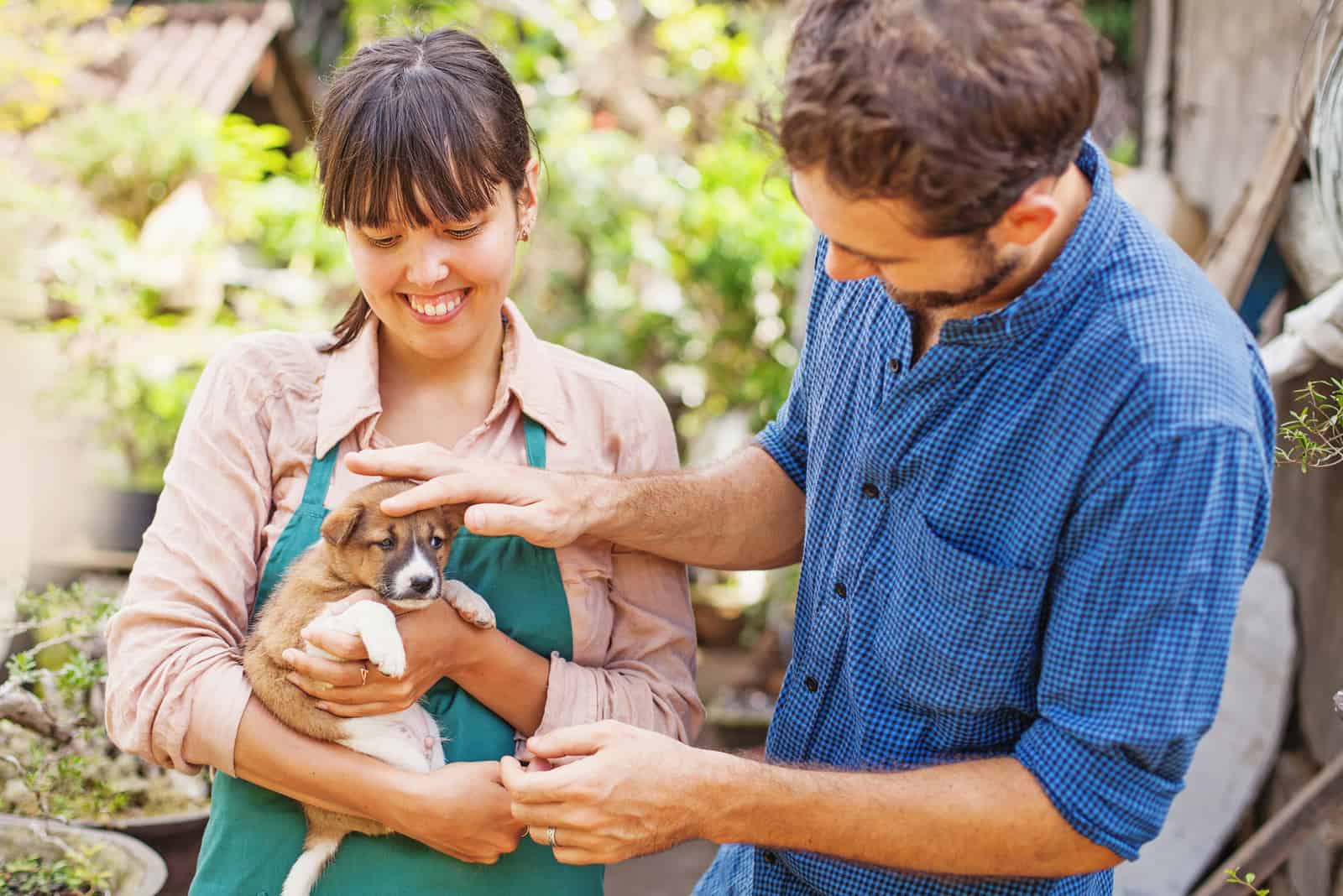 man and woman holding little puppy