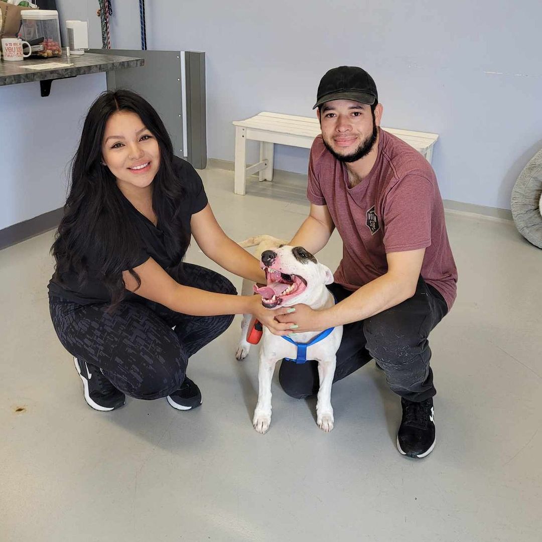 man and woman with a dog named panda