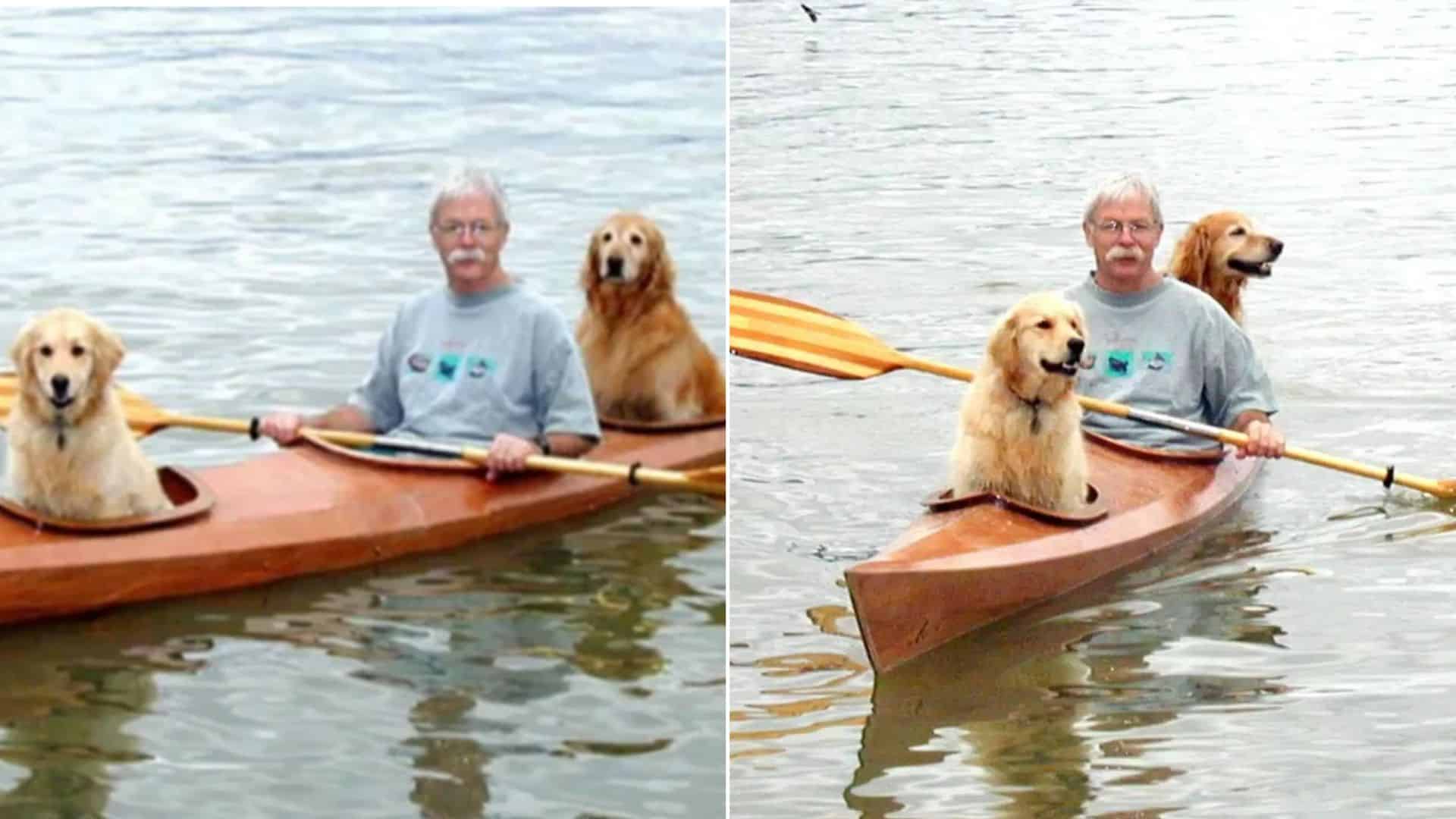 Man Builds A Modified Kayak So He Can Take His Golden Buddies Out On Adventures