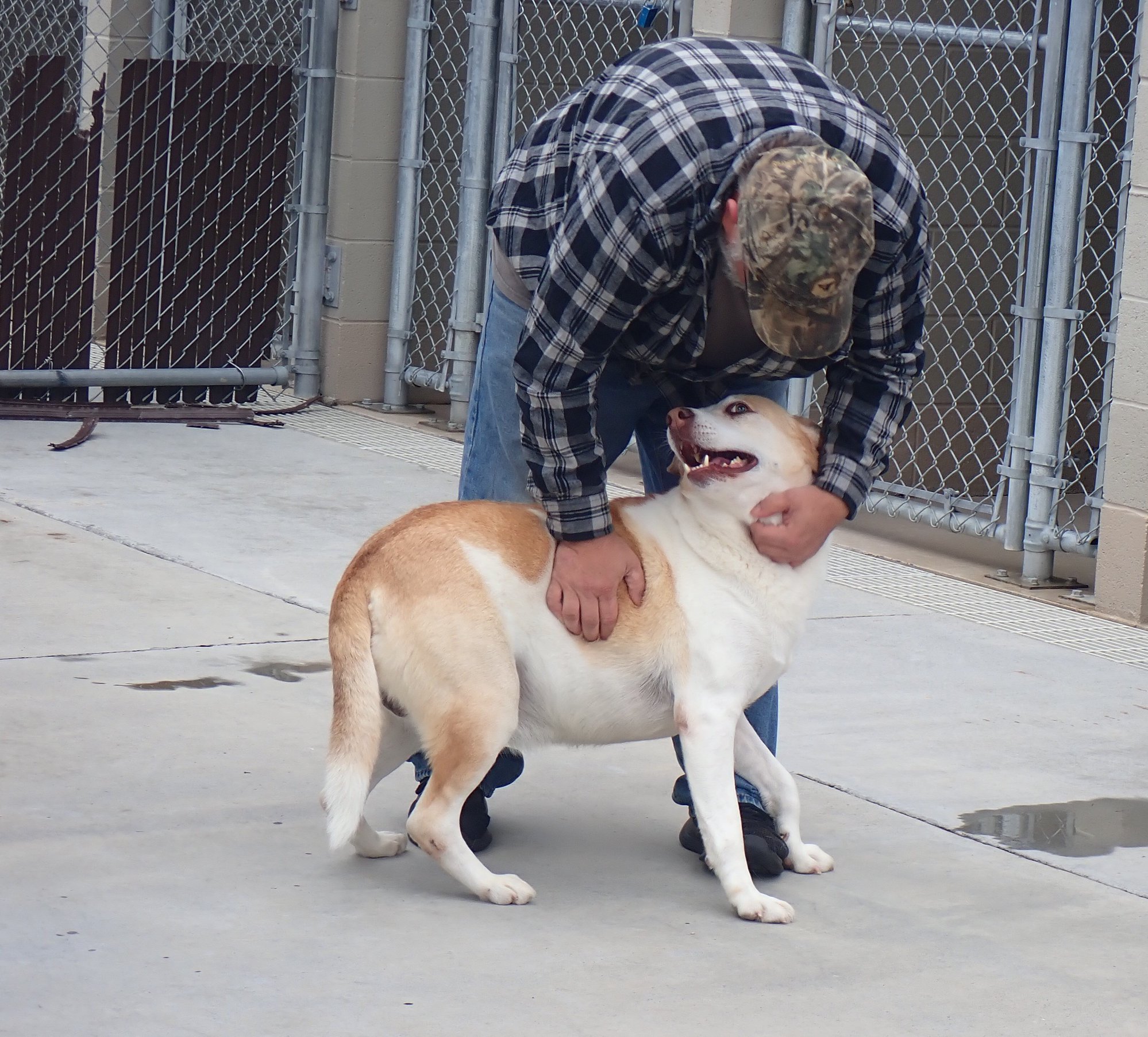 man carresing happy dog