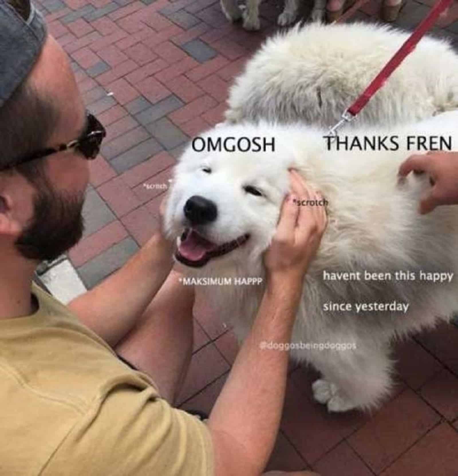 man cuddling samoyed dog on the street