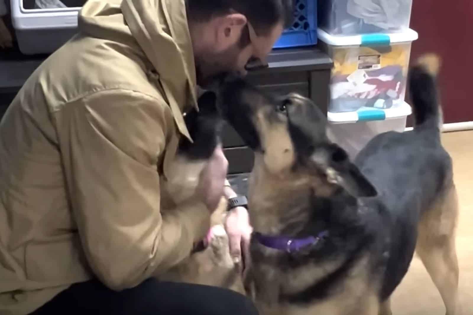 man cuddling with two german shepherd dogs indoors