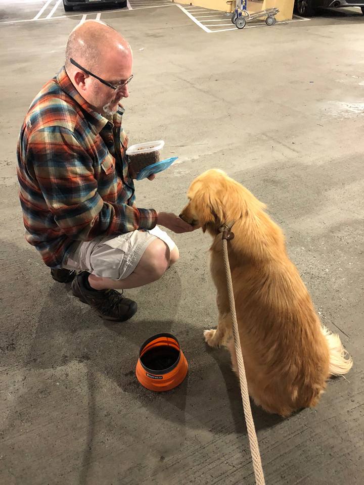 man feeding the golden retriever