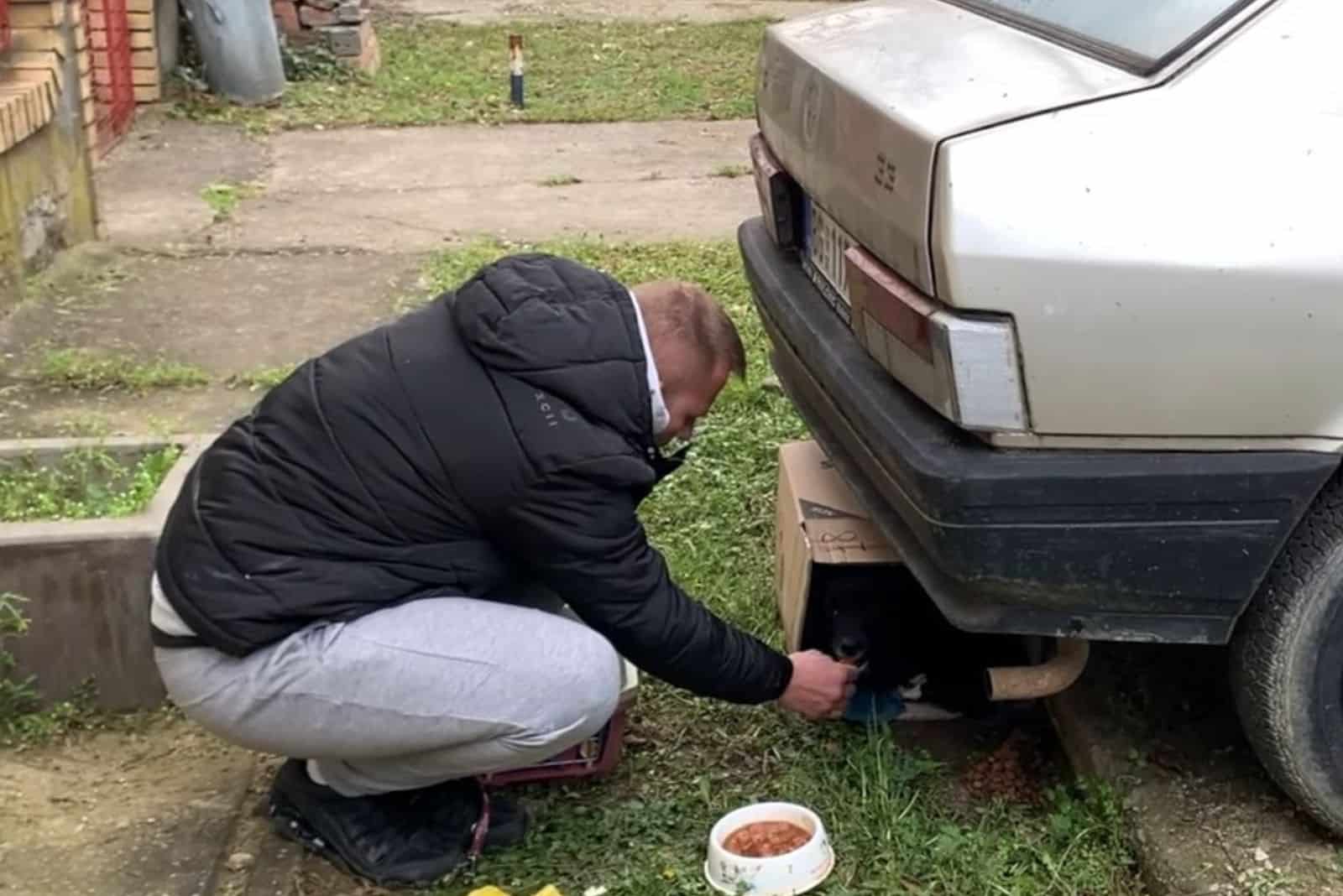 man feeding the stray dog