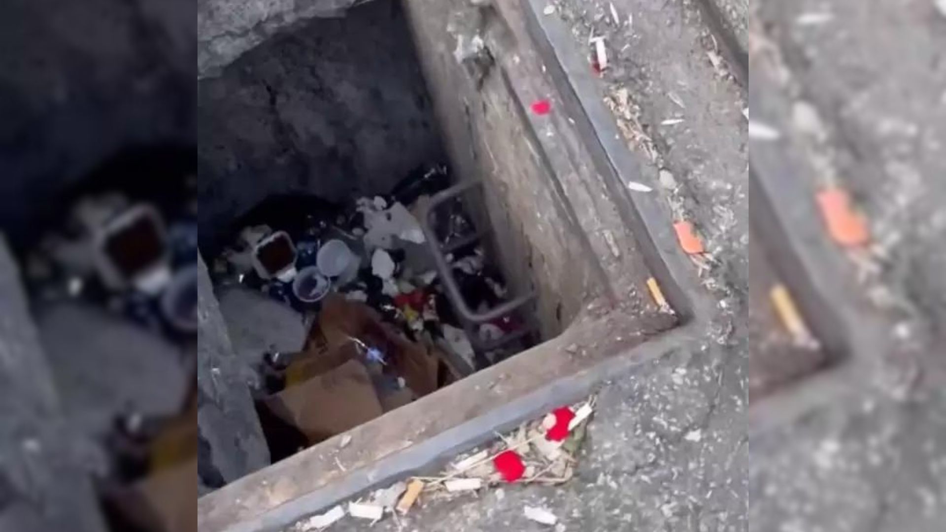 Mysterious Cries Coming From A Storm Drain Launch An Incredible Rescue Mission