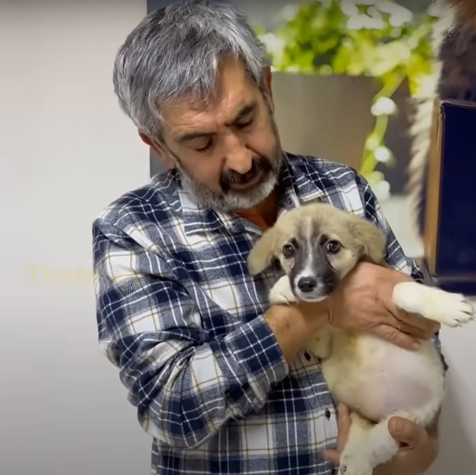 man holding a dog