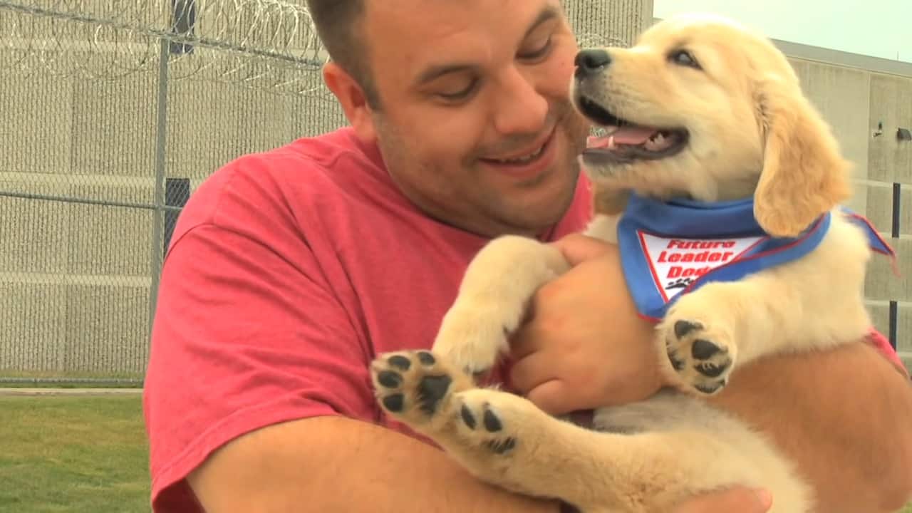 man holding a happy dog