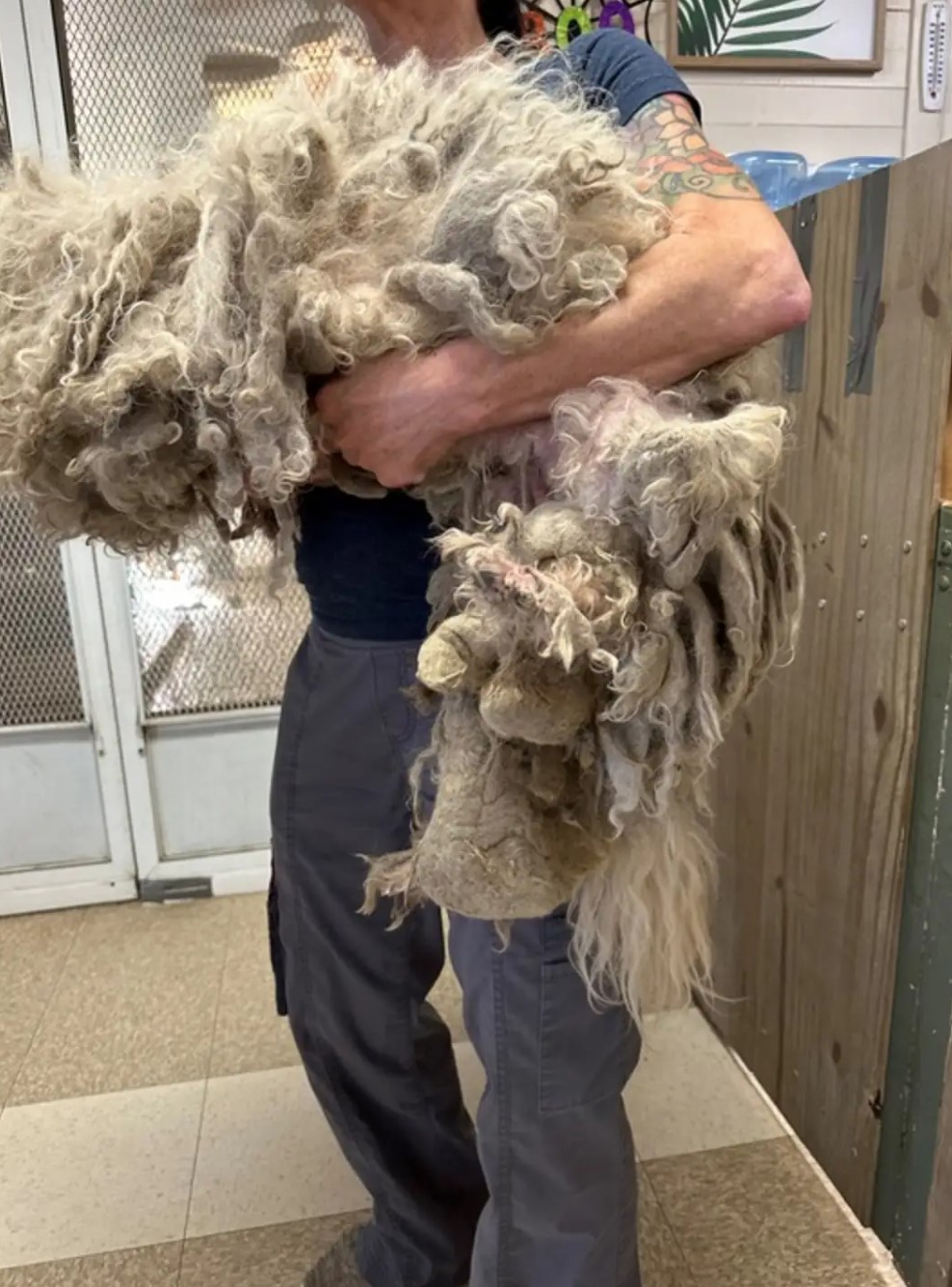 man holding ball of fur