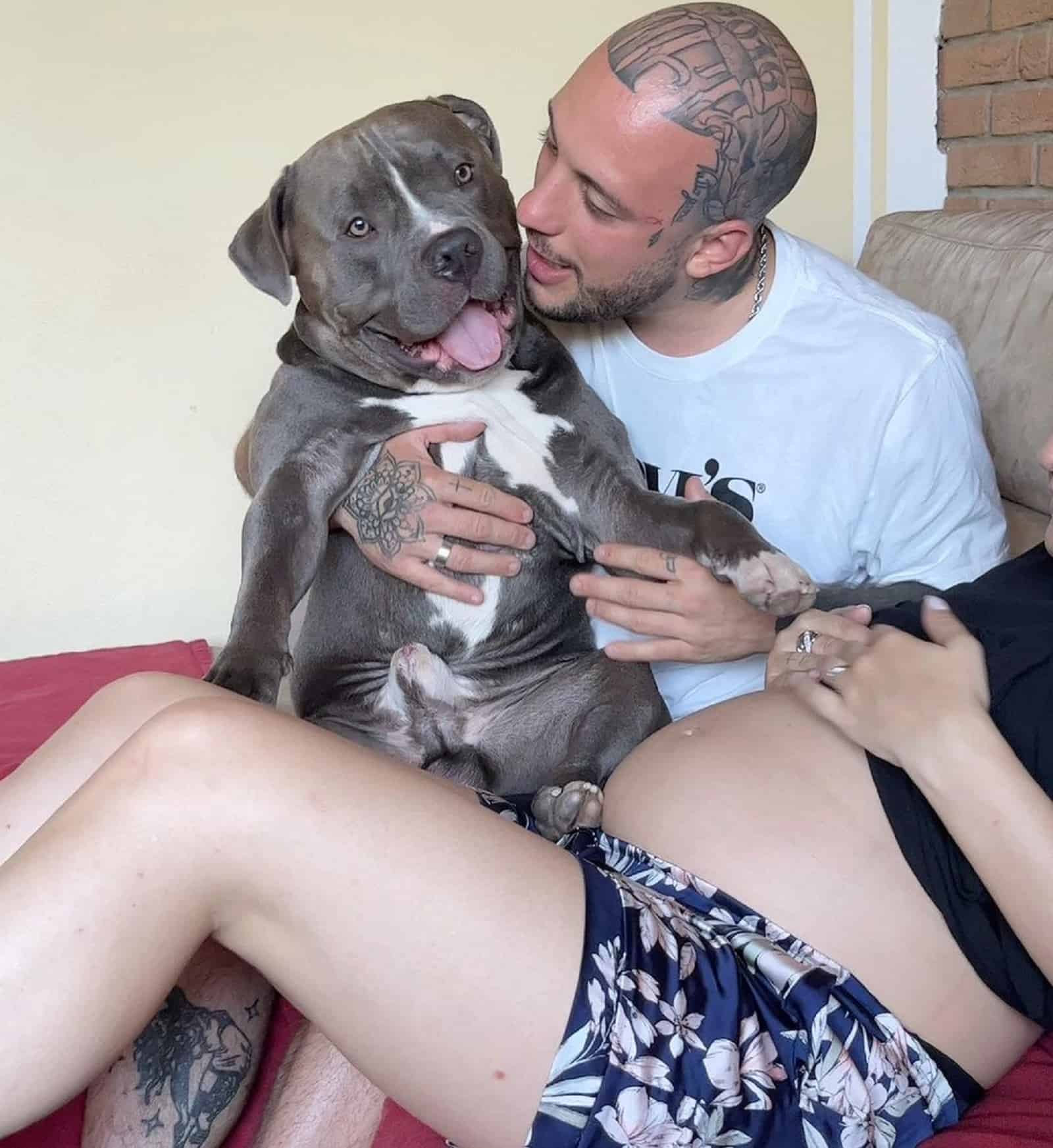 man holding bully in his arms while sitting beside pregntant woman