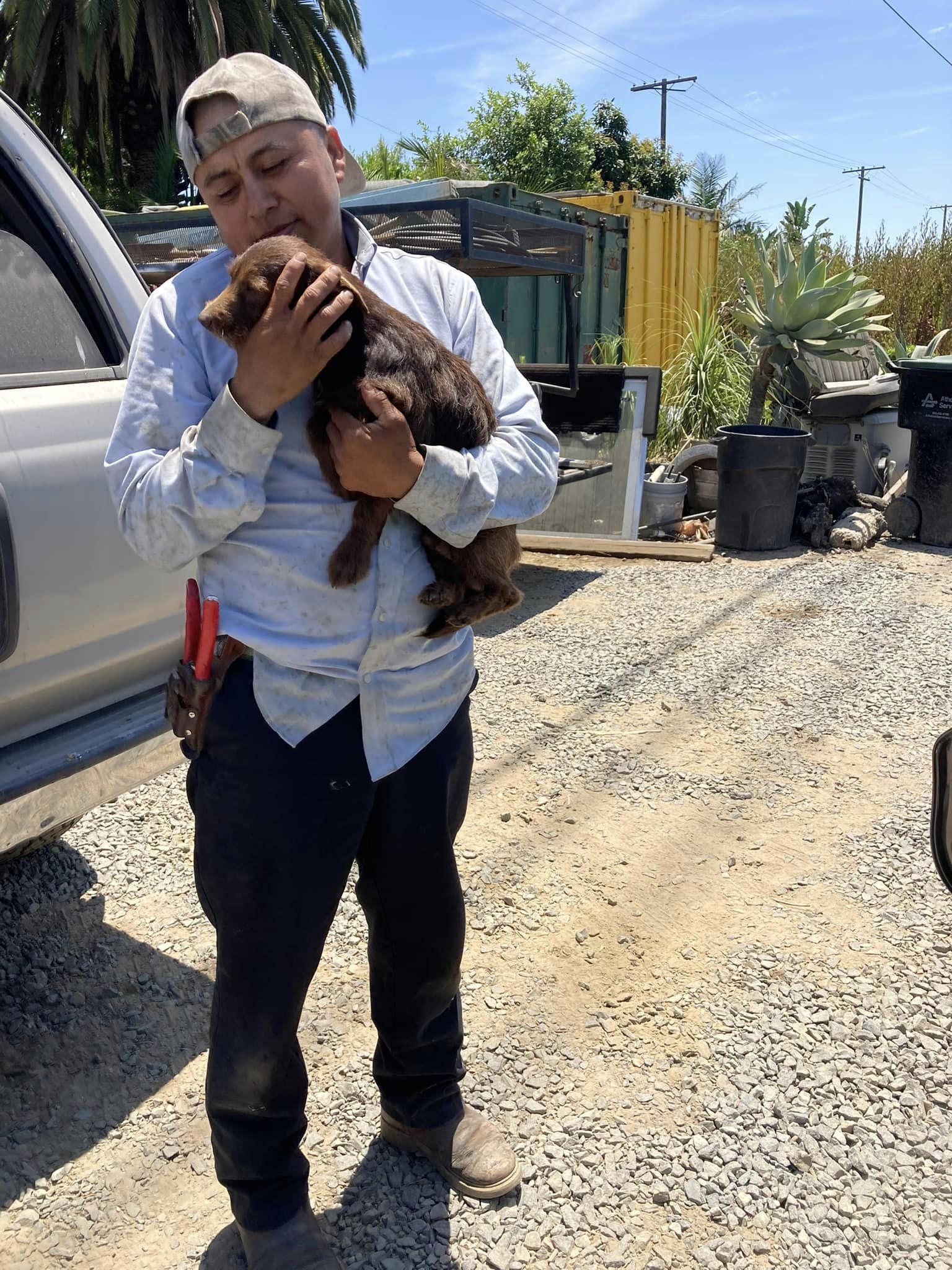 man holding cute puppy