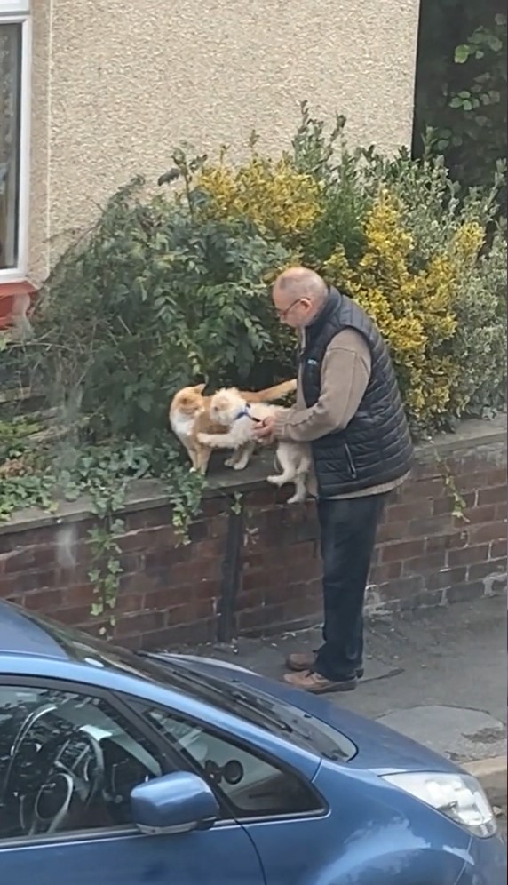 man holding the dog next to a cat