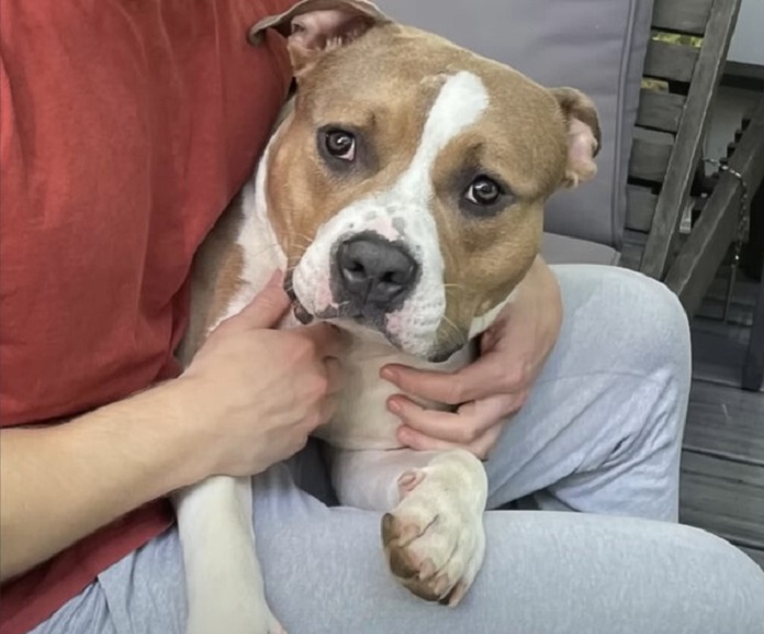 man holding the dog