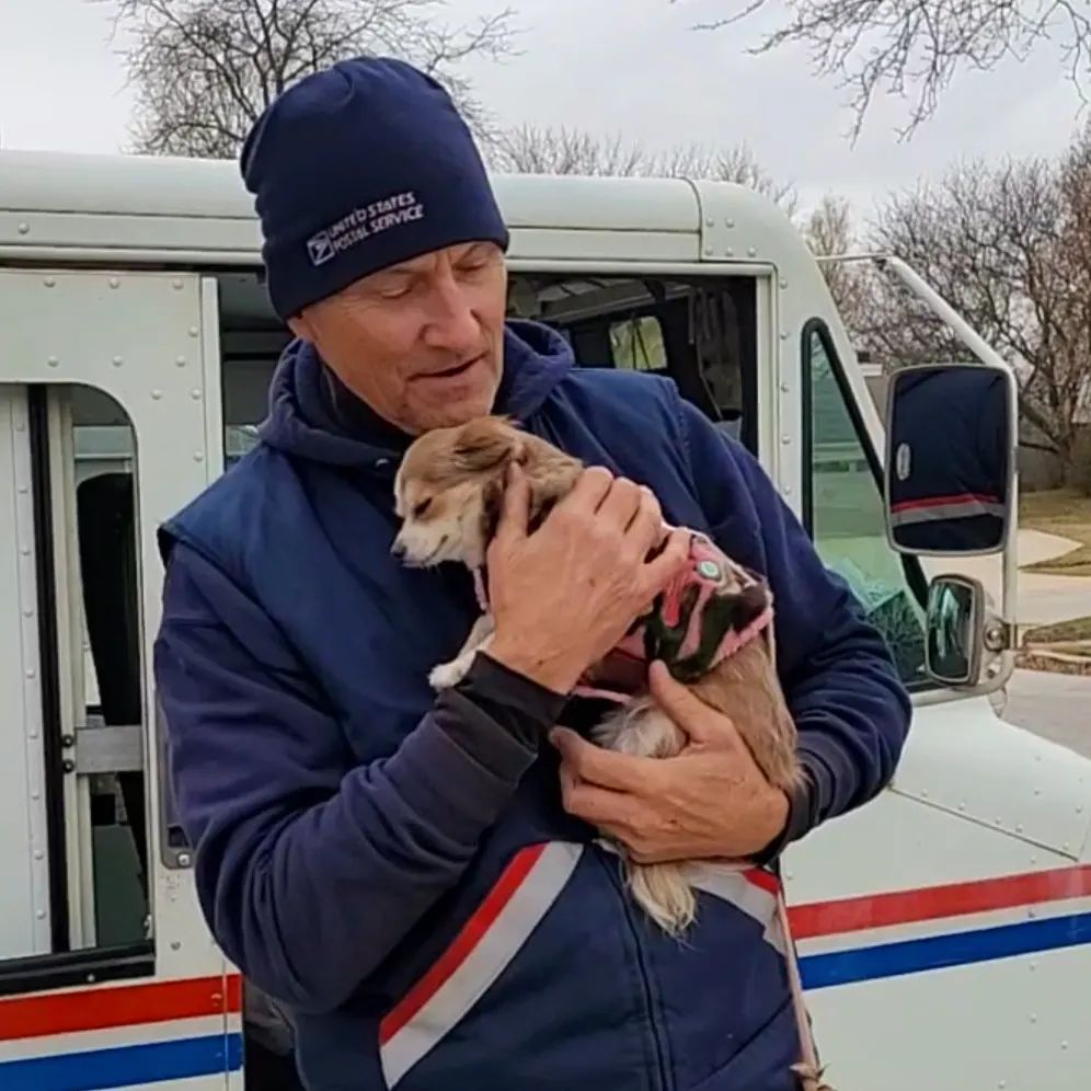 man holding tiny chihuahua in arms