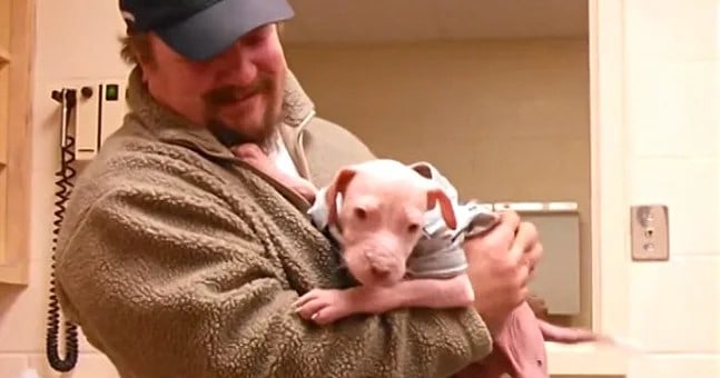 man holds a pitbull mix puppy that he saved from dying
