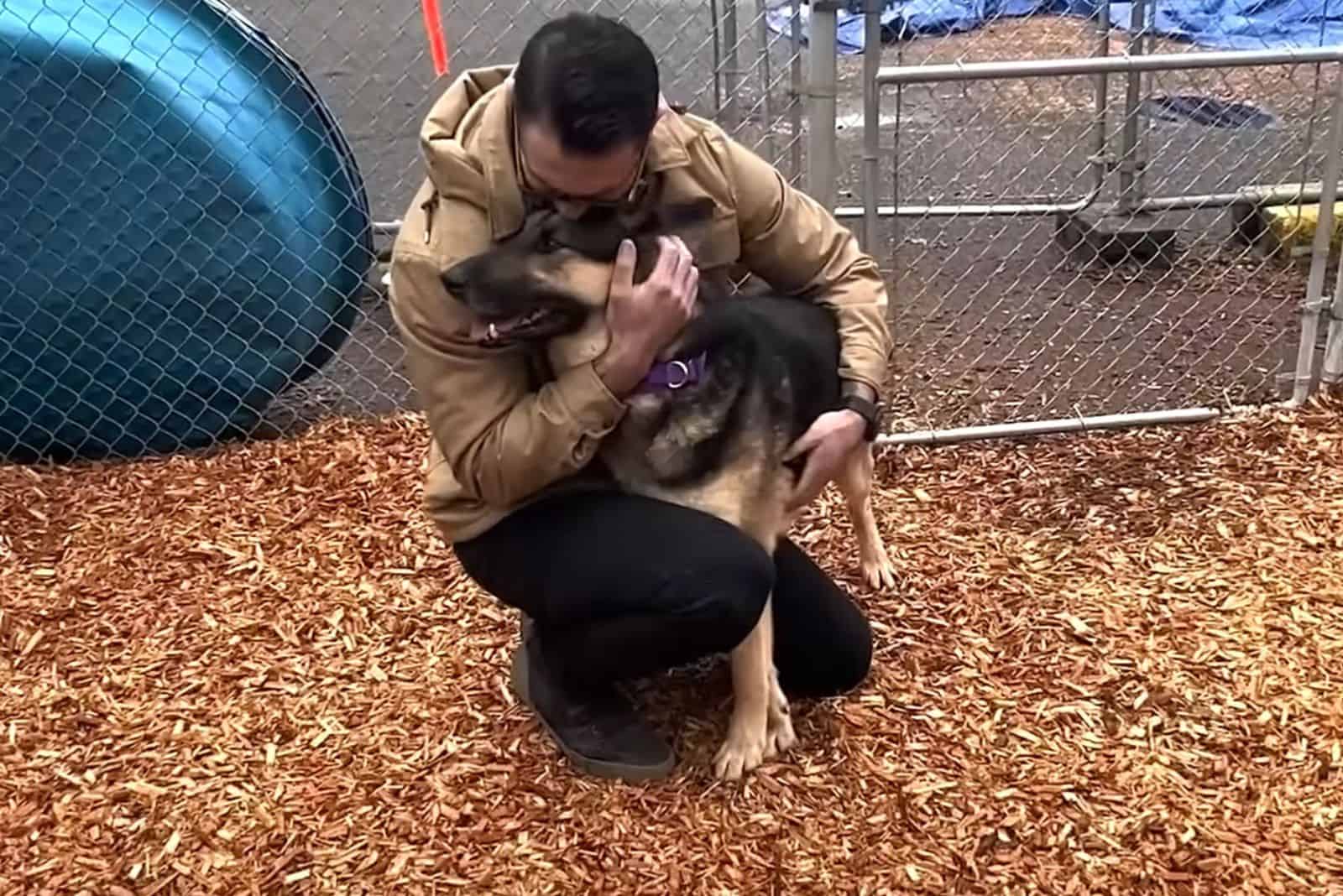 man hugging german shepherd dog in the park