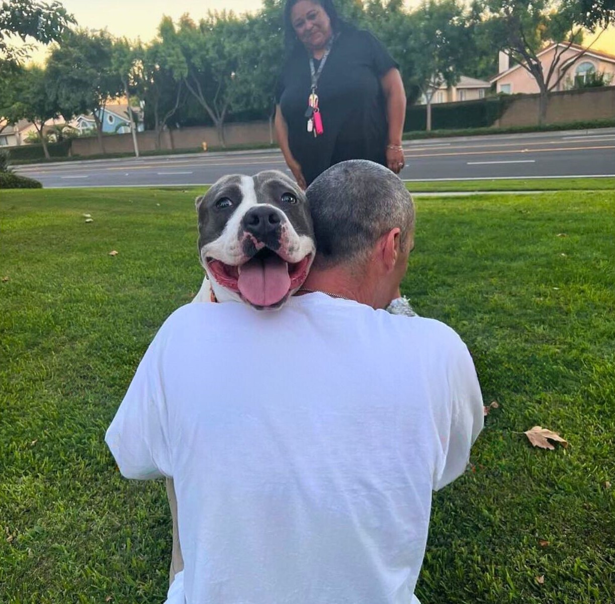 man hugging the dog on grass