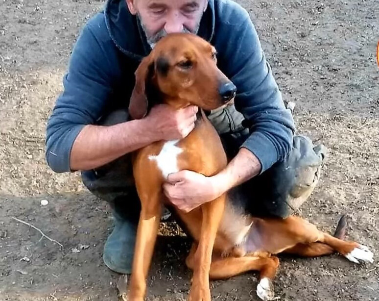 man hugging the dog