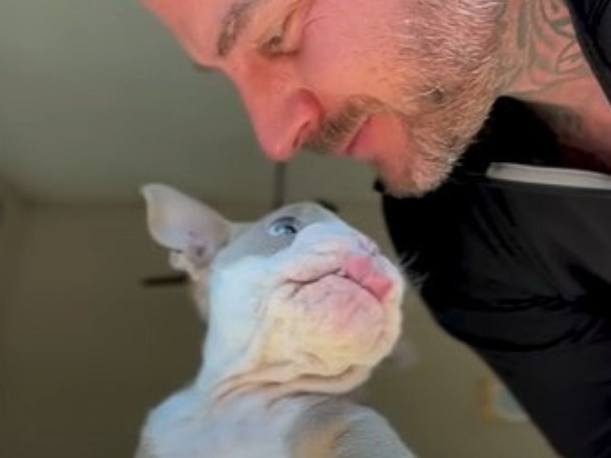 man looking at special needs puppy