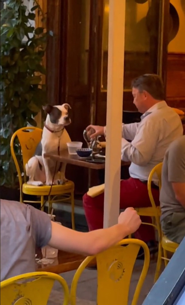 man on a date with dog