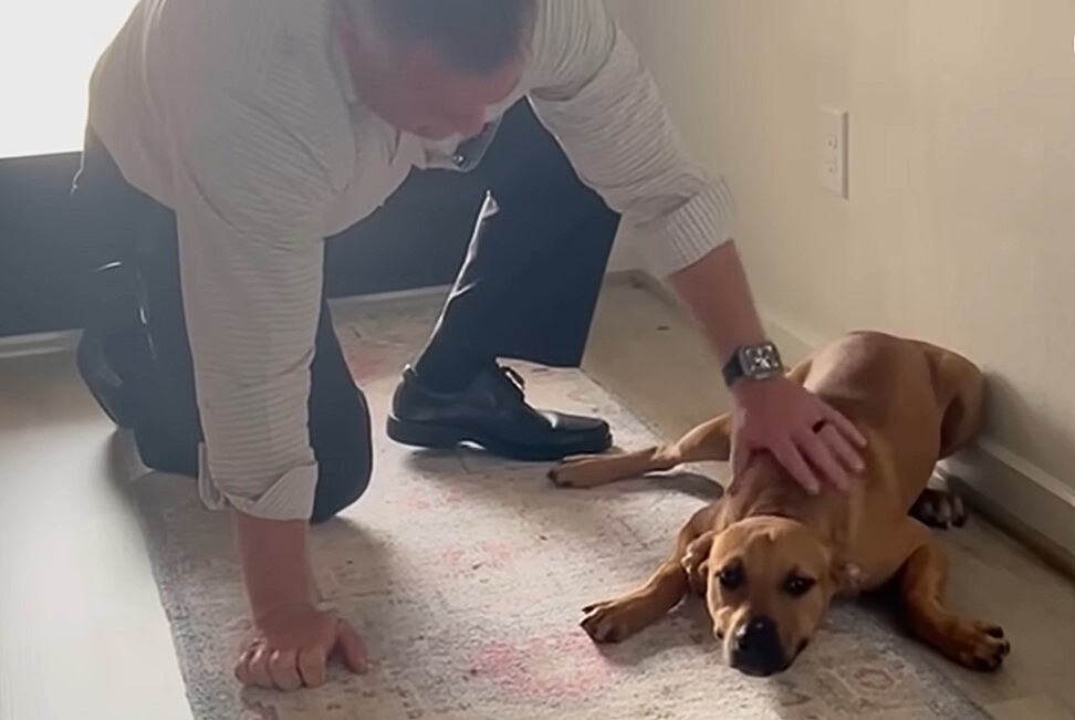 man petting a stray dog