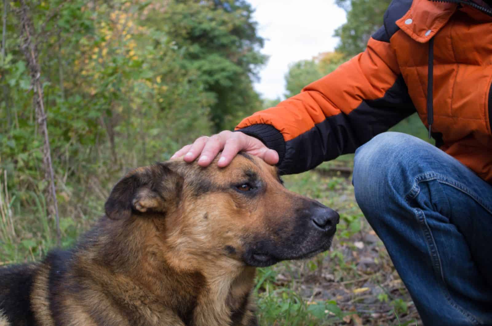 man petting his german shepherd in nature