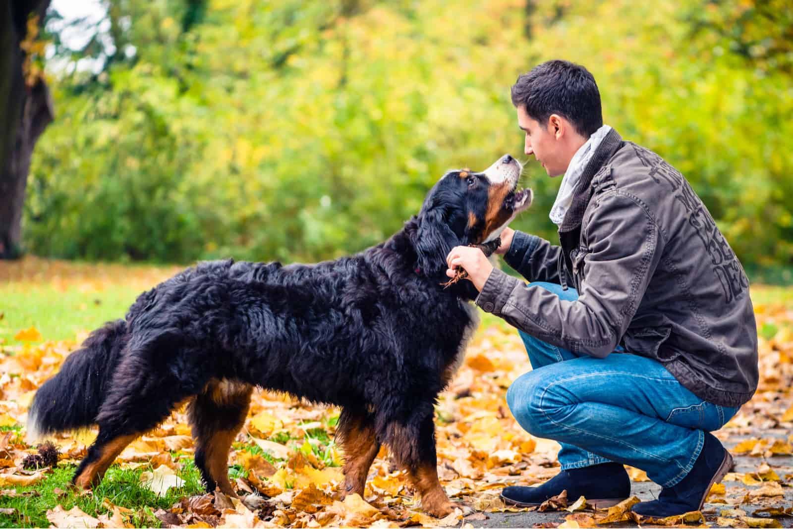 man playing with his dog