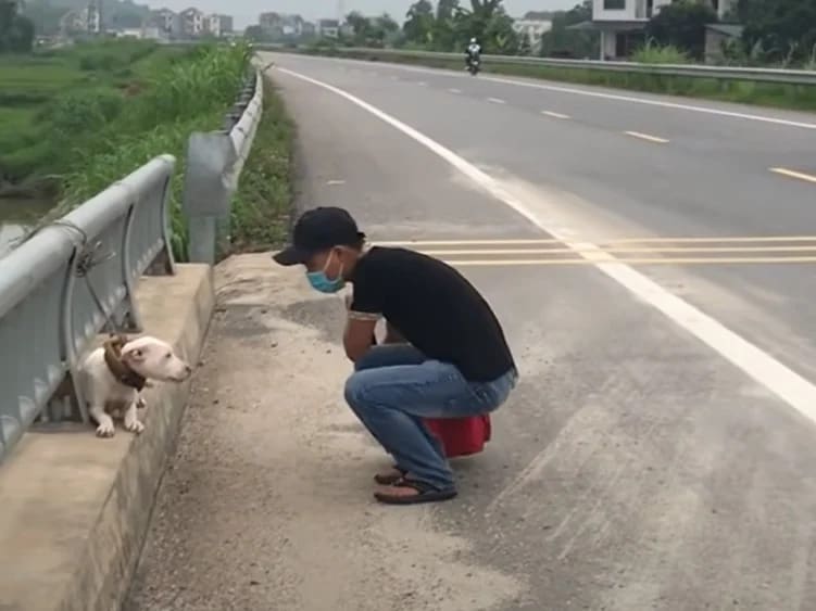 man saving a dog tied to a bridge