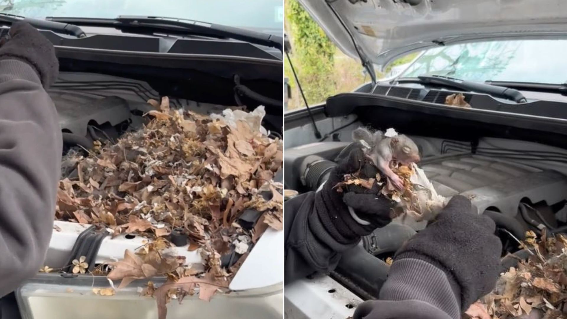 Man Was Confused On Why His Car Won’t Start And Then Realized What Was Causing The Problem