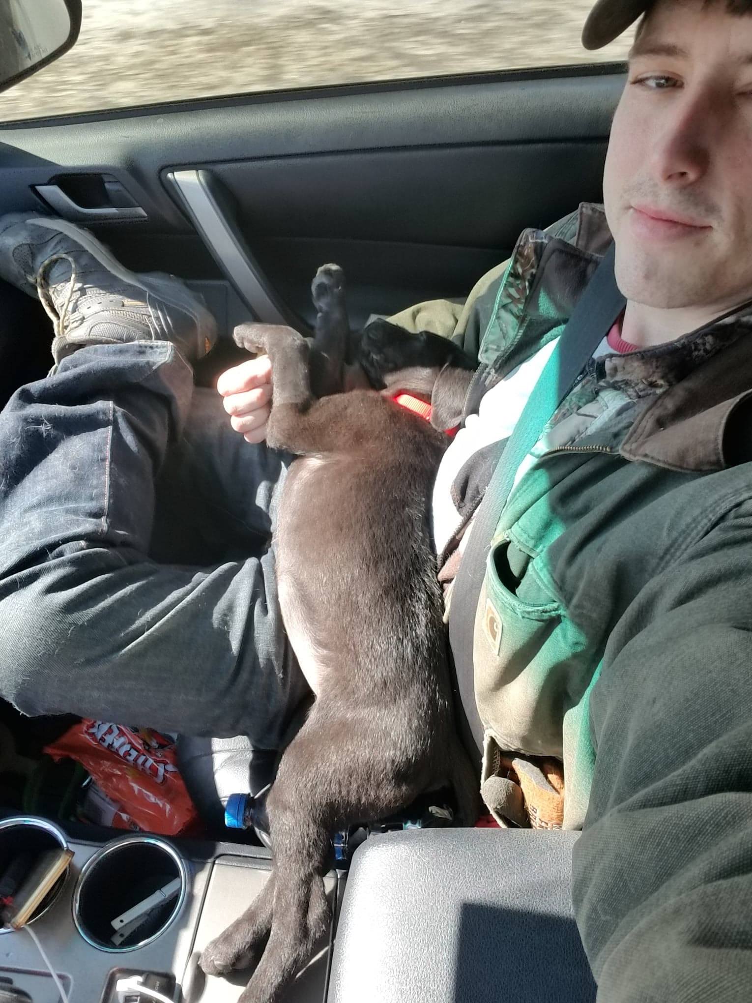 man sitting in car with the dog in his lap