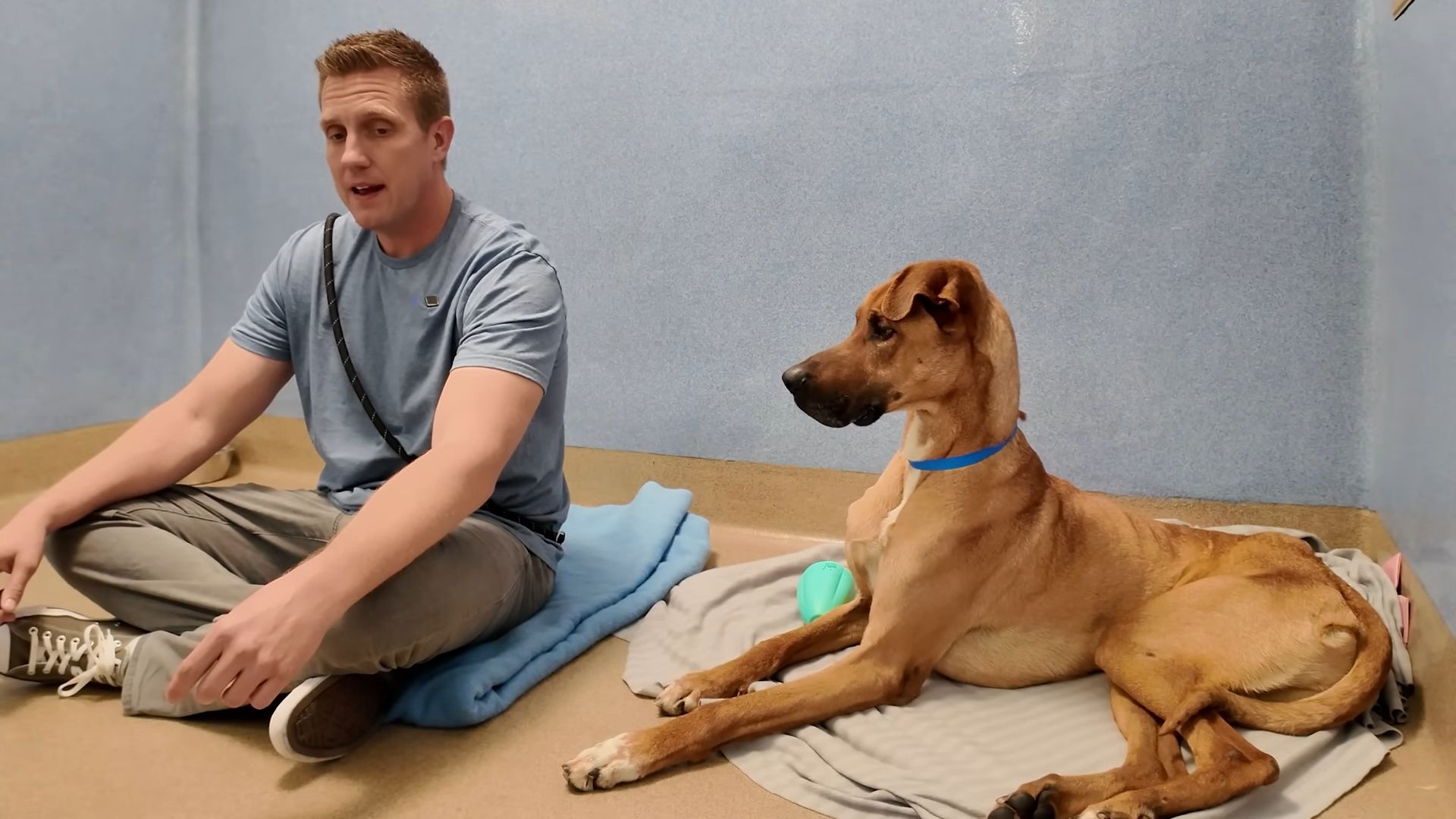 man sitting next to a great dane