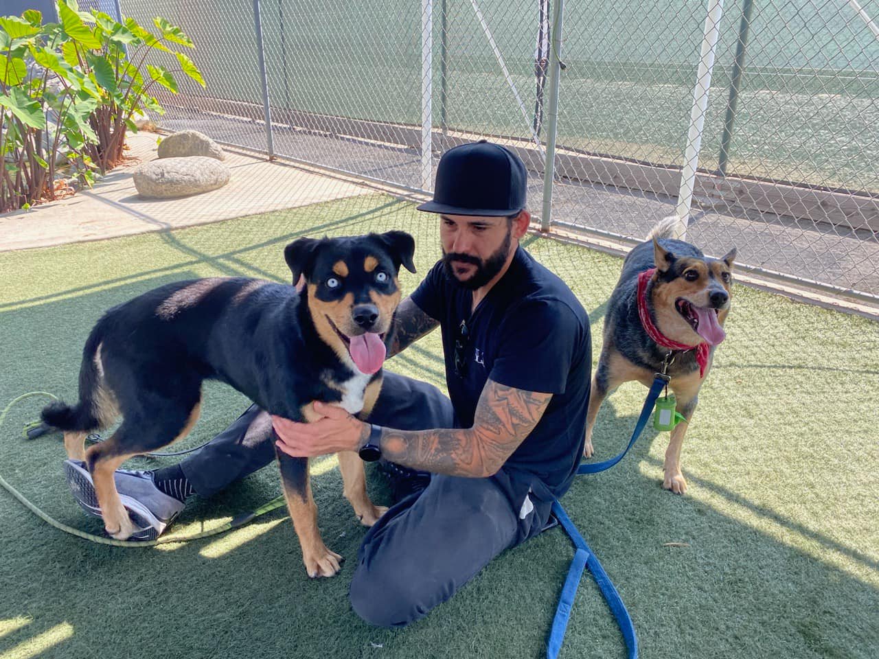 man sitting on the ground between two dogs