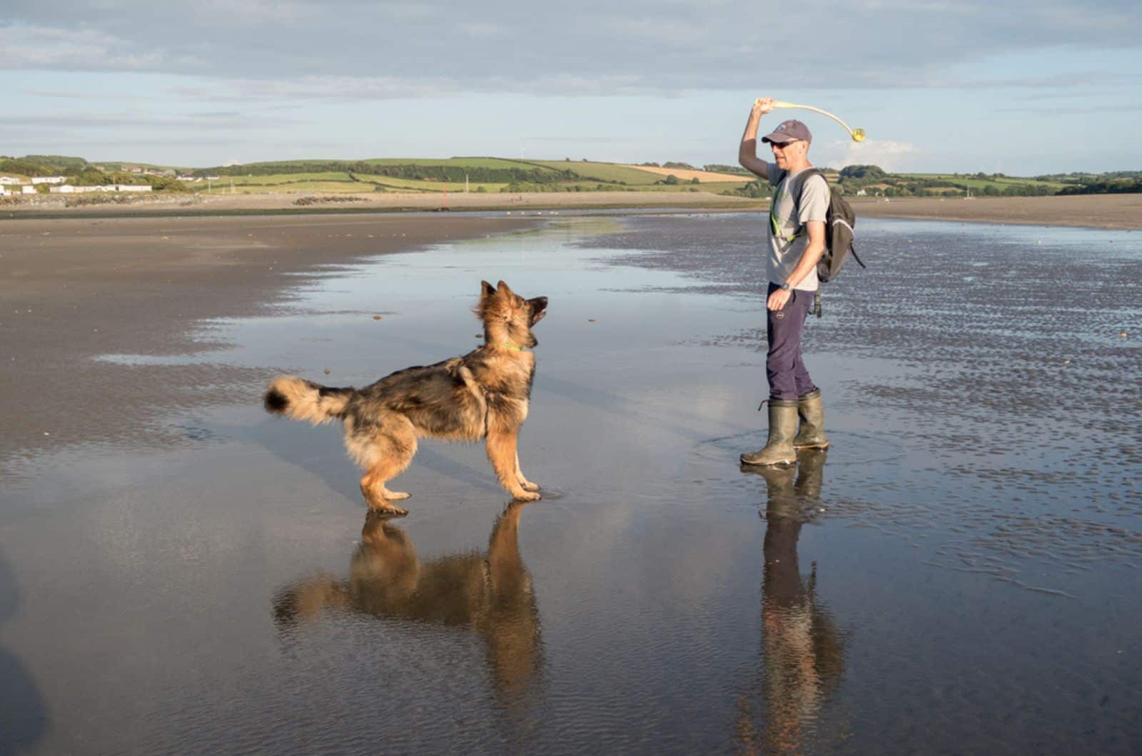 man throwing a ball for his german shepherd dog on the beach