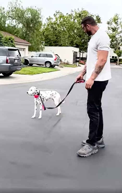 man walking the dog