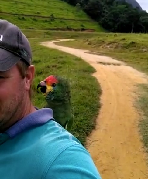 man with a parrot on his shoulder