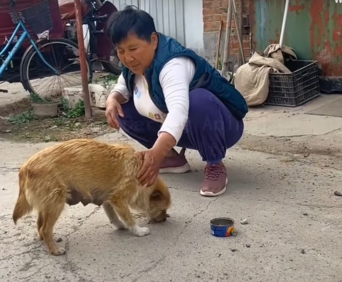 man with dog on chain